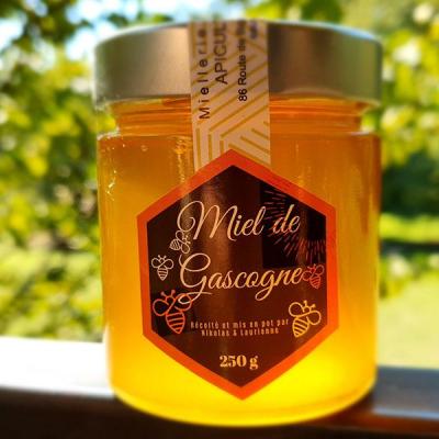 Miel de gascogne